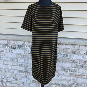 LOFT Striped Short Sleeve Knit Shift Dress | Medium
